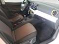 SEAT Ibiza Reference Edition 1.0 80PS Weiß - thumbnail 14