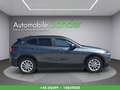 BMW X2 sDrive 16d Aut. *LED/NAVI/1.BESITZ* Grau - thumbnail 8
