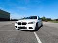 BMW M550 Blanco - thumbnail 23