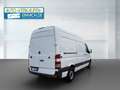 Mercedes-Benz Sprinter 213 CDI L2H2,3Sitze,MwSt,TÜV,Service Blanc - thumbnail 5