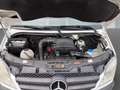 Mercedes-Benz Sprinter 213 CDI L2H2,3Sitze,MwSt,TÜV,Service Blanc - thumbnail 18