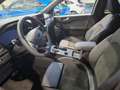 Ford Kuga FHEV ST-Line X Vert - thumbnail 4