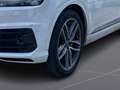 Audi Q7 3.0 TDI quattro tiptronic 3xS-Line ACC Kamera Weiß - thumbnail 20