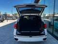 BMW X5 PHEV xDrive40e Österreich-Paket Aut. Weiß - thumbnail 6