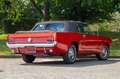 Ford Mustang Cabriolet - Paint / Interior Restored Rouge - thumbnail 2