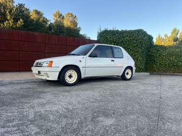 1.3 Rallye