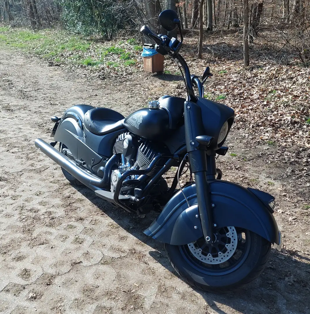 Indian Chief Darkhorse Negro - 1