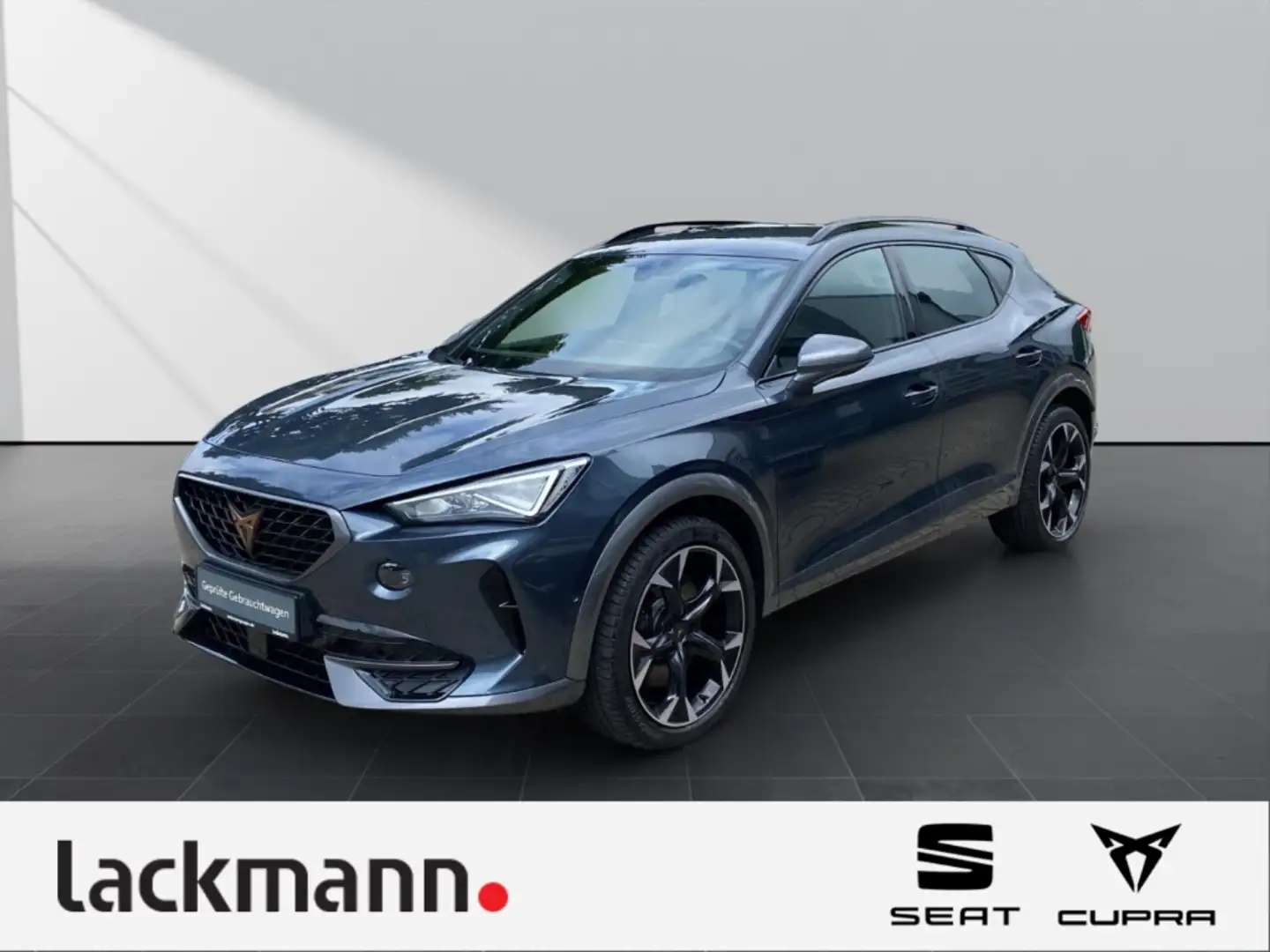 CUPRA Formentor 2.0 VZ 4Drive *Navi*LED*Kamera*Winterp.* Grau - 1
