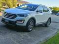 Hyundai SANTA FE SOCIETE 2.0 CRDI - 112 2WD PACK CONFORT - thumbnail 7