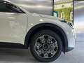 Fiat 600 600 IV 2023 1.2 hybrid Icon 110cv auto Bianco - thumbnail 9