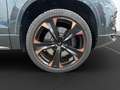 CUPRA Ateca VZ AHK Pano LED LM 19" Navi 360° ACC Beats Vert - thumbnail 15