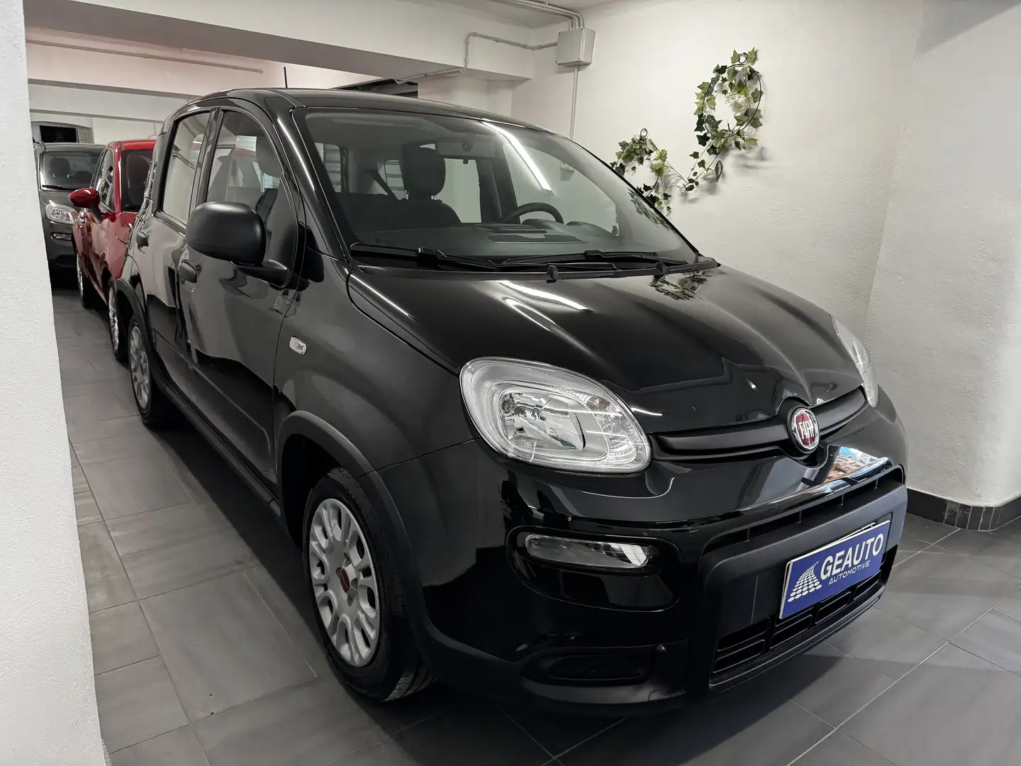 Fiat Panda 1.0 firefly hybrid City Life 09/2023 soli 3.500 km Noir - 1
