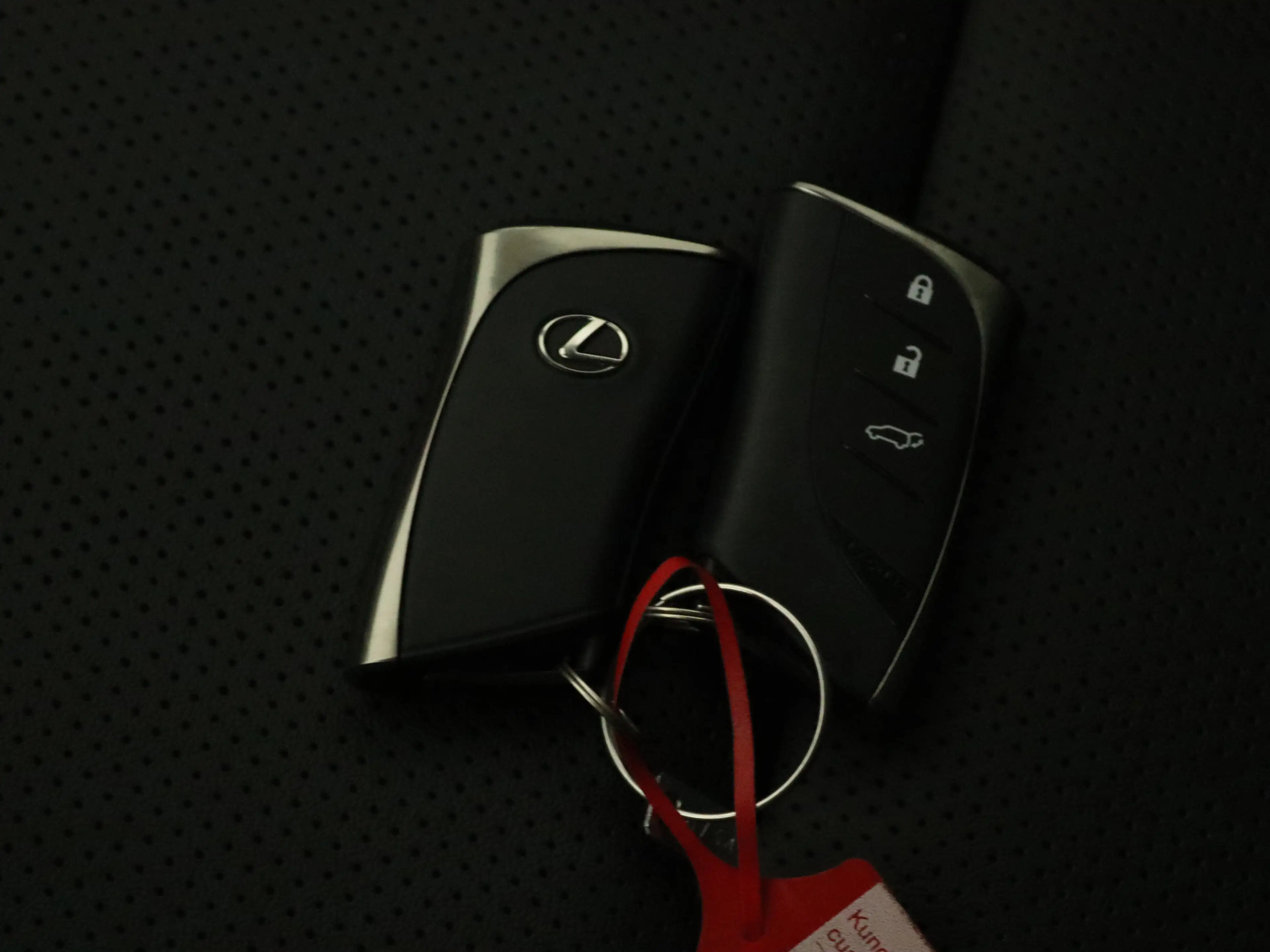 Lexus RX 450h 450h+ Plug-in Hybrid F Sport Design | Panoramadak — photo 14