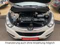 Hyundai iX35 1.6 5 Star Edition 2WD 1 Hand Wit - thumbnail 31