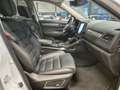 Renault Koleos KOLEOS INITIALE PARIS LEDER NAV LED PANO CAM ACC Weiß - thumbnail 11