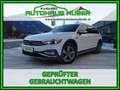 Volkswagen Passat Alltrack 2,0 TDI SCR 4Motion DSG Weiß - thumbnail 1
