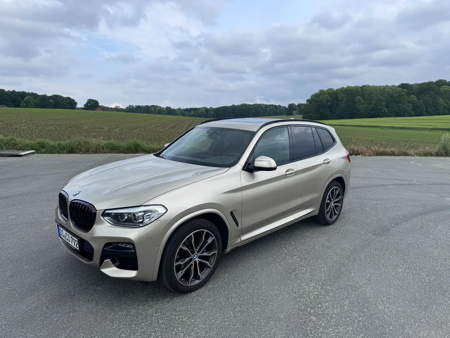 BMW X3 X3 xDrive30d Aut. xLine Beige - 2
