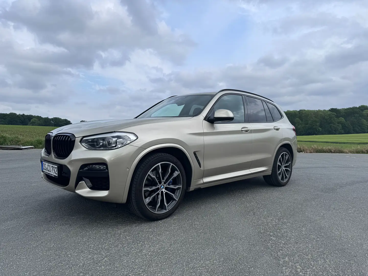 BMW X3 X3 xDrive30d Aut. xLine Beige - 1