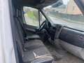 Mercedes-Benz Sprinter 316 l2h2 euro5 export - thumbnail 5