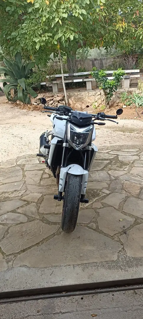 Yamaha FZ 1 2008 Blanco - 1