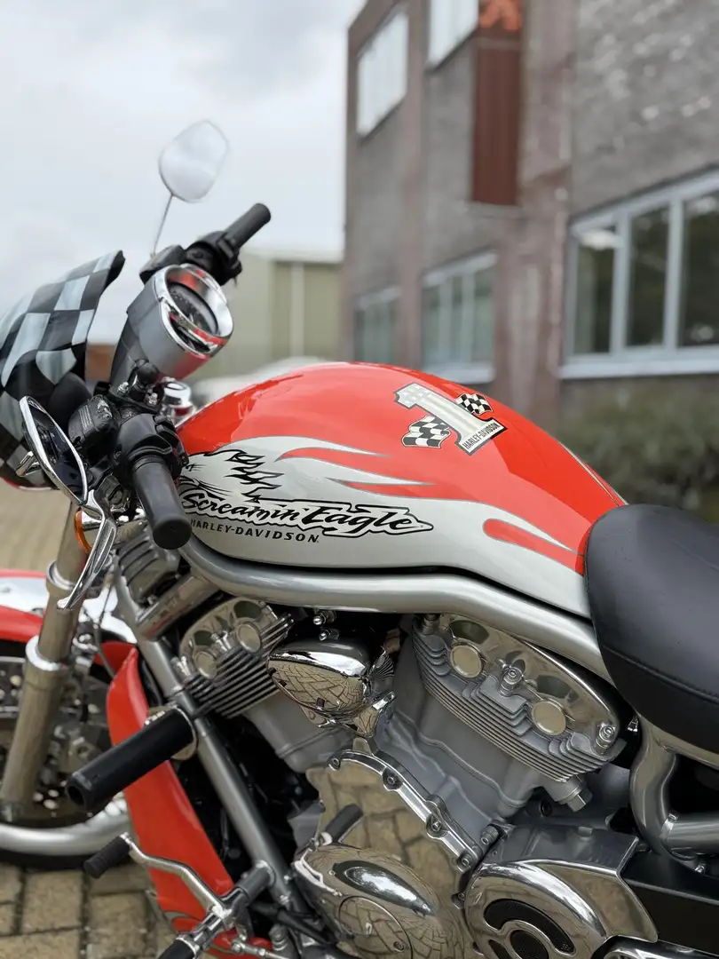 Harley-Davidson Night Rod VRSCDX Special - 2