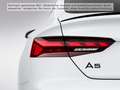 Audi A5 40 TSI Q S LINE COMPETITION PLUS LM Weiß - thumbnail 6
