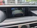 Lexus IS 300 300h F Sport Negru - thumbnail 12