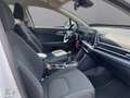 Kia Sportage SPORTAGE 1.6T ED7 KAMERA FULL-LED 17Z SPURHALTEASS Blanco - thumbnail 9