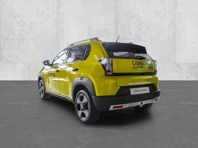 Fiat Panda view 2
