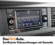 Volkswagen T6.1 Caravelle VW Kombi T6.1 Caravelle Comfortline KR TDI 4M Grau - thumbnail 15