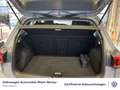 Volkswagen Golf VIII 1.5 TSI Style App-Connect PDC LED Grau - thumbnail 9