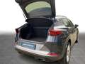 CUPRA Formentor 1.5 TSI DSG Climatronic LED SHZ PDC Grau - thumbnail 8