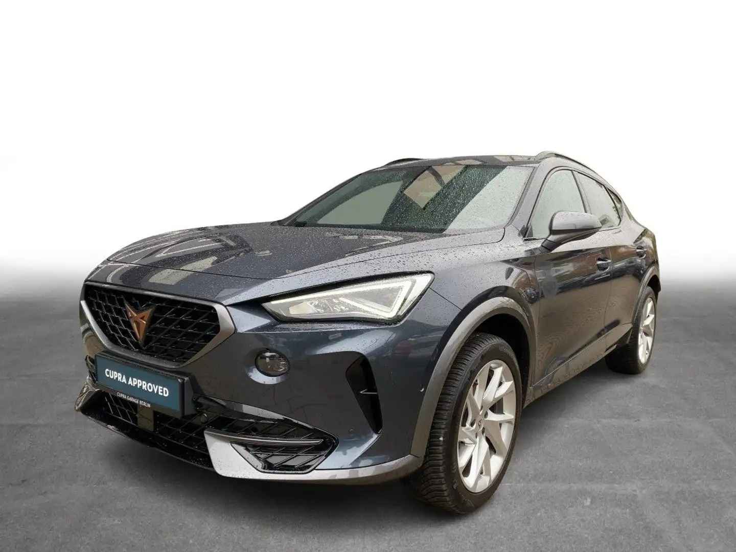 CUPRA Formentor 1.5 TSI DSG Climatronic LED SHZ PDC Grau - 2