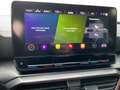 CUPRA Formentor 1.5 TSI DSG Climatronic LED SHZ PDC Grau - thumbnail 13