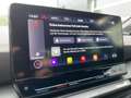 CUPRA Formentor 1.5 TSI DSG Climatronic LED SHZ PDC Grau - thumbnail 17