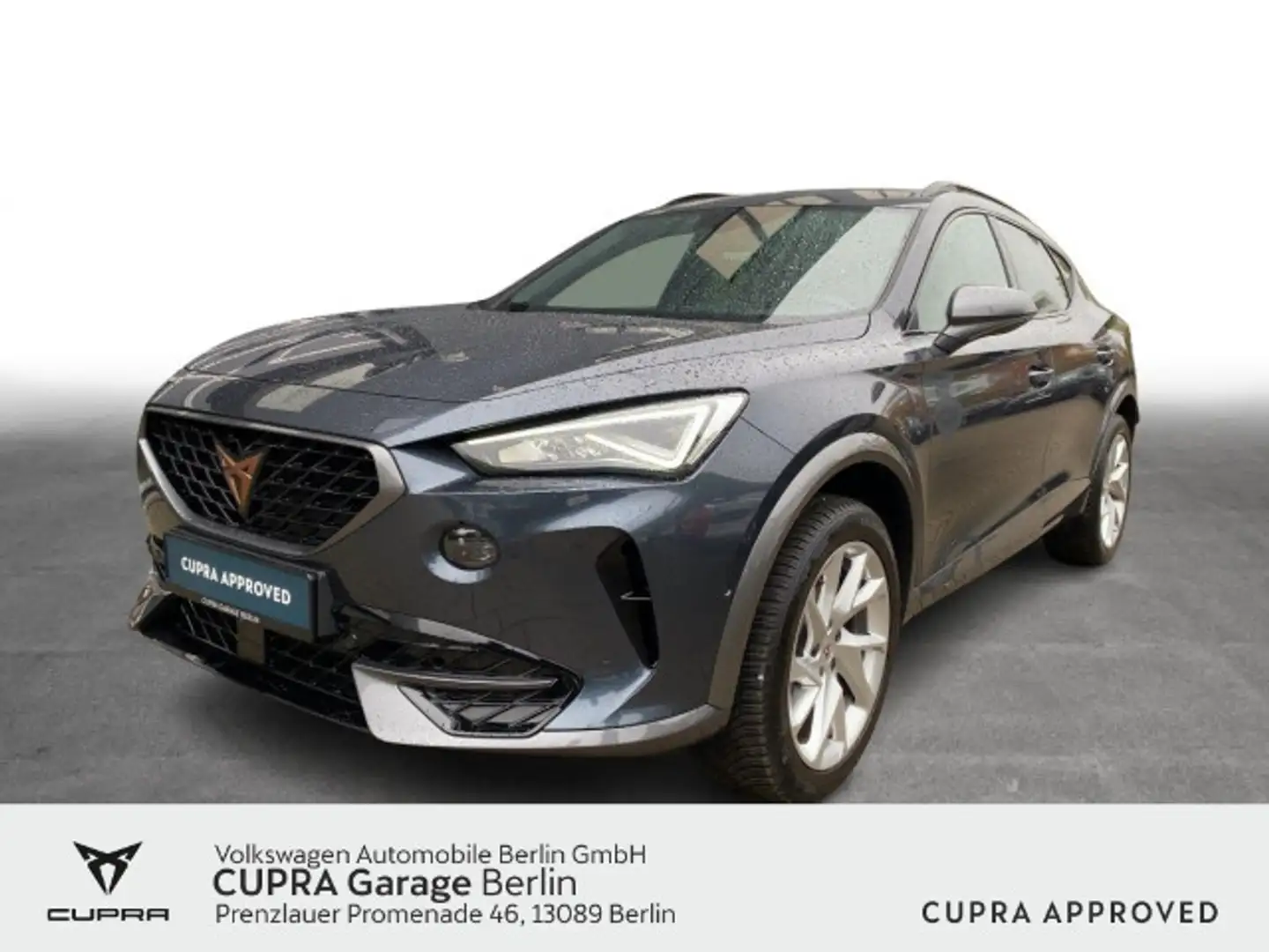 CUPRA Formentor 1.5 TSI DSG Climatronic LED SHZ PDC Grau - 1