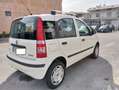 Fiat Panda Panda 1.2 natural power Dynamic Weiß - thumbnail 4