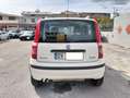 Fiat Panda Panda 1.2 natural power Dynamic Weiß - thumbnail 5