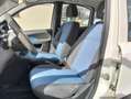 Fiat Panda Panda 1.2 natural power Dynamic Weiß - thumbnail 8