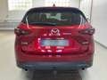 Mazda CX-5 CX-5 2.5 e-Skyactiv-G Mild-Hybrid Ad'vantage 2WD Rot - thumbnail 5
