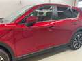 Mazda CX-5 CX-5 2.5 e-Skyactiv-G Mild-Hybrid Ad'vantage 2WD Rot - thumbnail 4