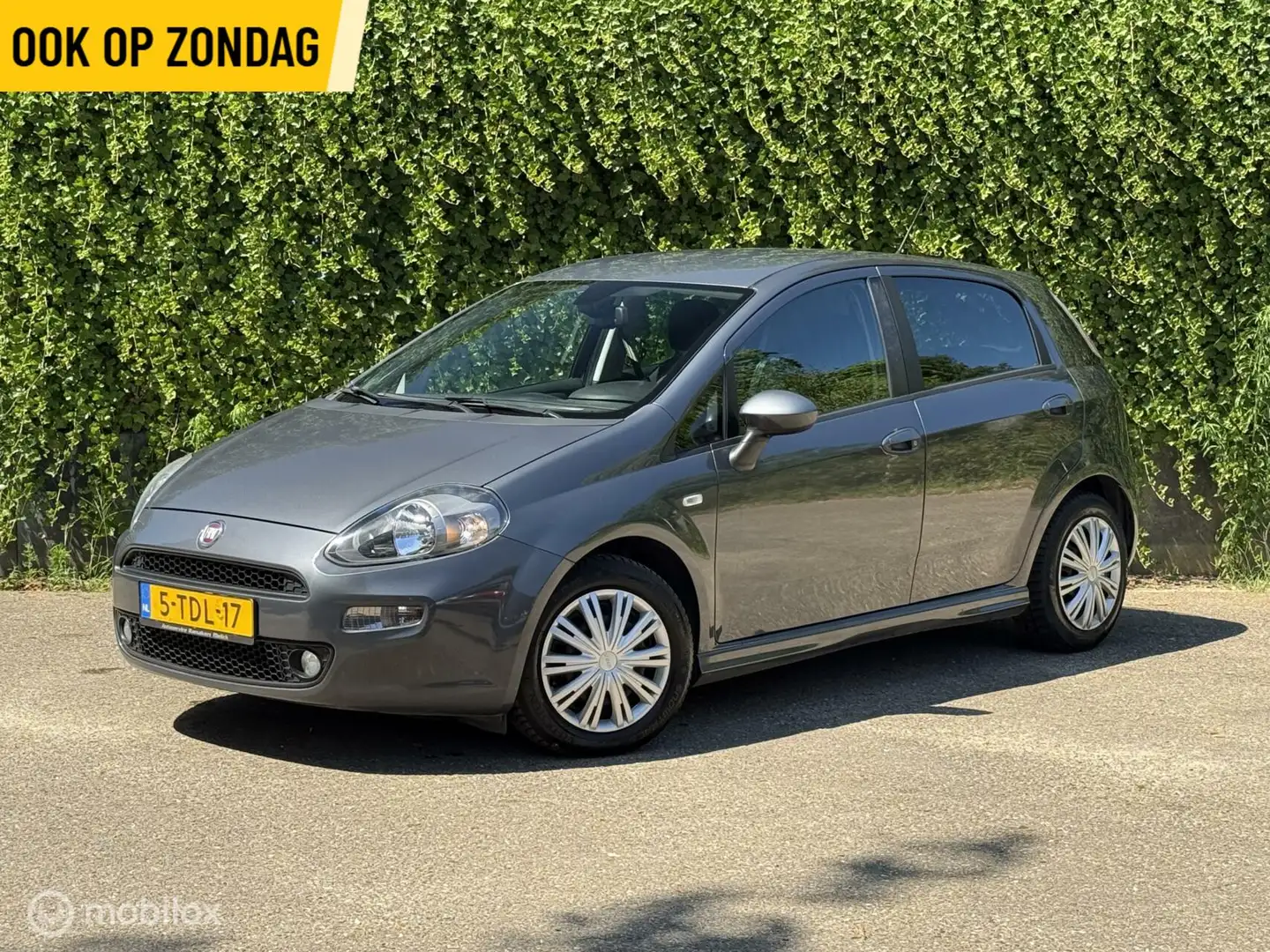 Fiat Punto Evo 1.3 M-Jet | Zuinig | Alcantara| 5-Deurs Сірий - 1