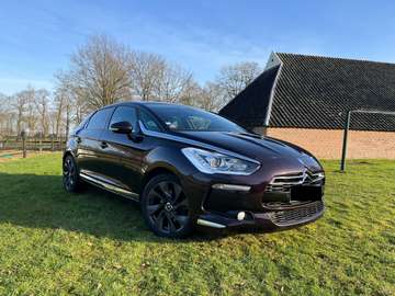 DS5 THP 155 So Chic A