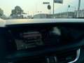 Alfa Romeo Stelvio Stelvio 2.2 Td 190 CV AT8 Q4 Business Bianco - thumbnail 15