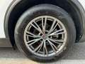 Alfa Romeo Stelvio Stelvio 2.2 Td 190 CV AT8 Q4 Business Bianco - thumbnail 8