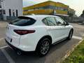 Alfa Romeo Stelvio Stelvio 2.2 Td 190 CV AT8 Q4 Business Bianco - thumbnail 7