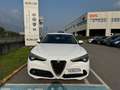 Alfa Romeo Stelvio Stelvio 2.2 Td 190 CV AT8 Q4 Business Bianco - thumbnail 3