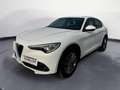 Alfa Romeo Stelvio Stelvio 2.2 Td 190 CV AT8 Q4 Business Bianco - thumbnail 1