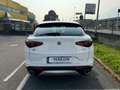 Alfa Romeo Stelvio Stelvio 2.2 Td 190 CV AT8 Q4 Business Bianco - thumbnail 4