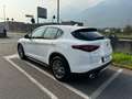 Alfa Romeo Stelvio Stelvio 2.2 Td 190 CV AT8 Q4 Business Bianco - thumbnail 6